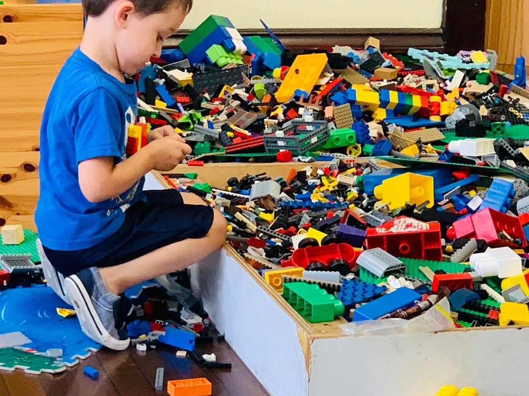 Toy and Plastic Brick Museum-Bellaire必去景点