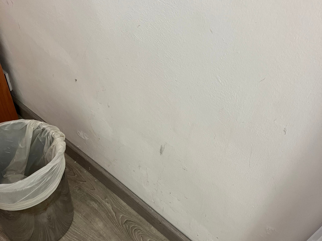 阿里斯顿蒙特卡罗酒店主图