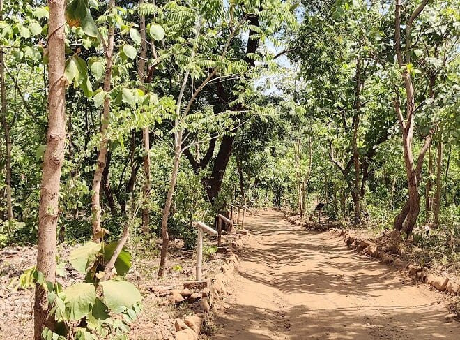 Tipai - Wildlife Luxuries主图