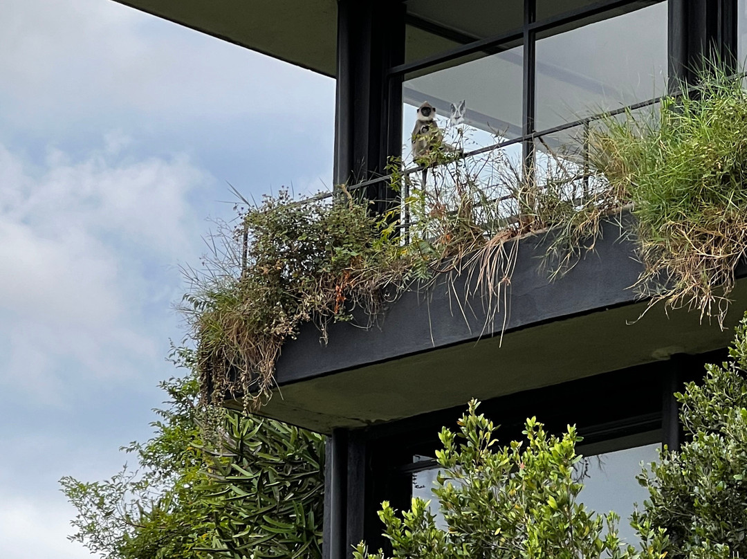 Heritance Kandalama Spa-丹布拉必去景点