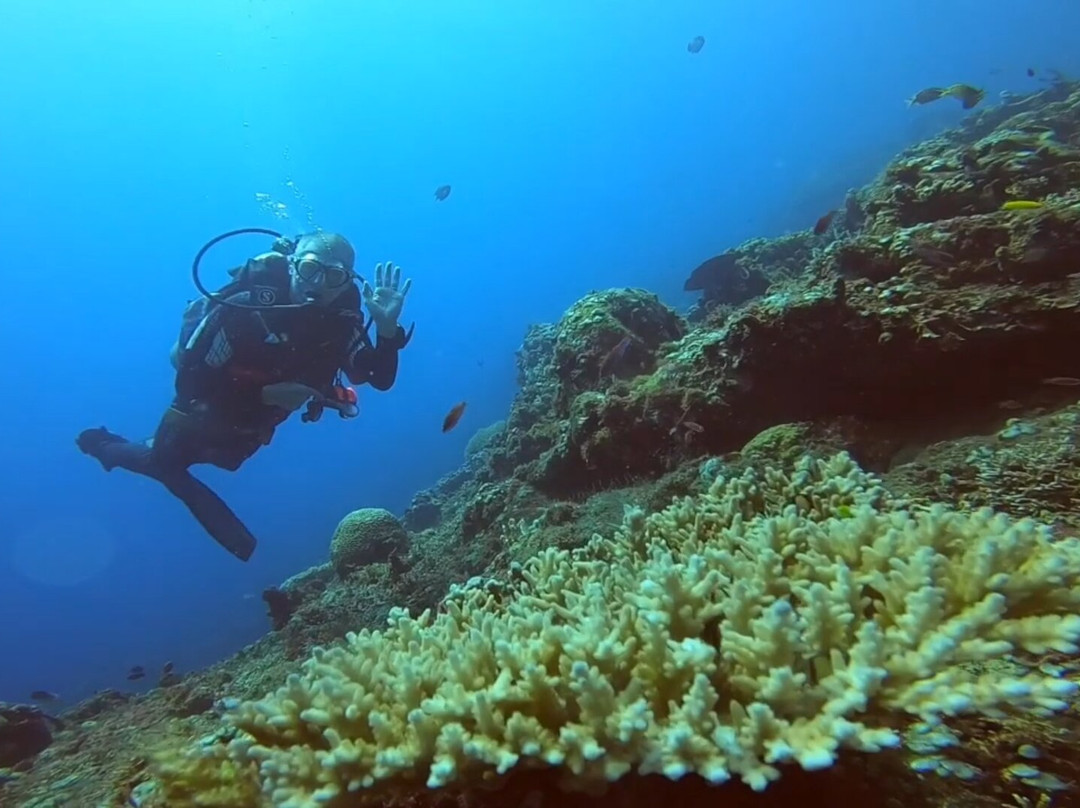 Abyss Dive Center Bali景点图片
