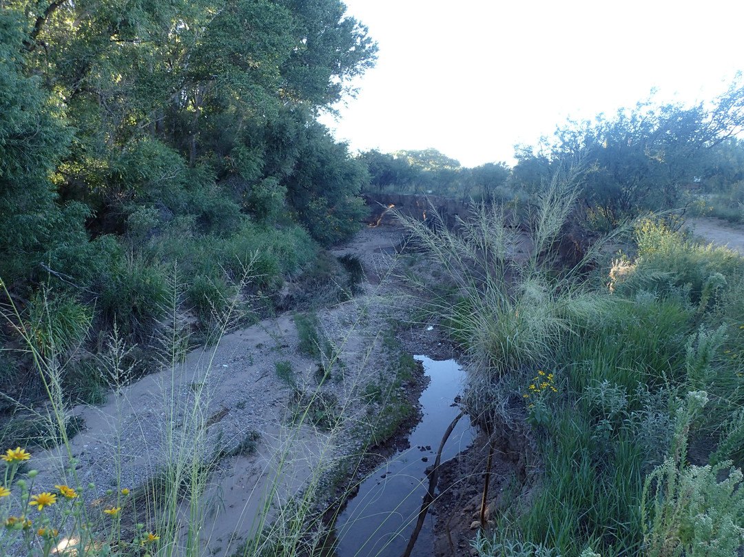 San Pedro Riparian National Conservation Area景点图片