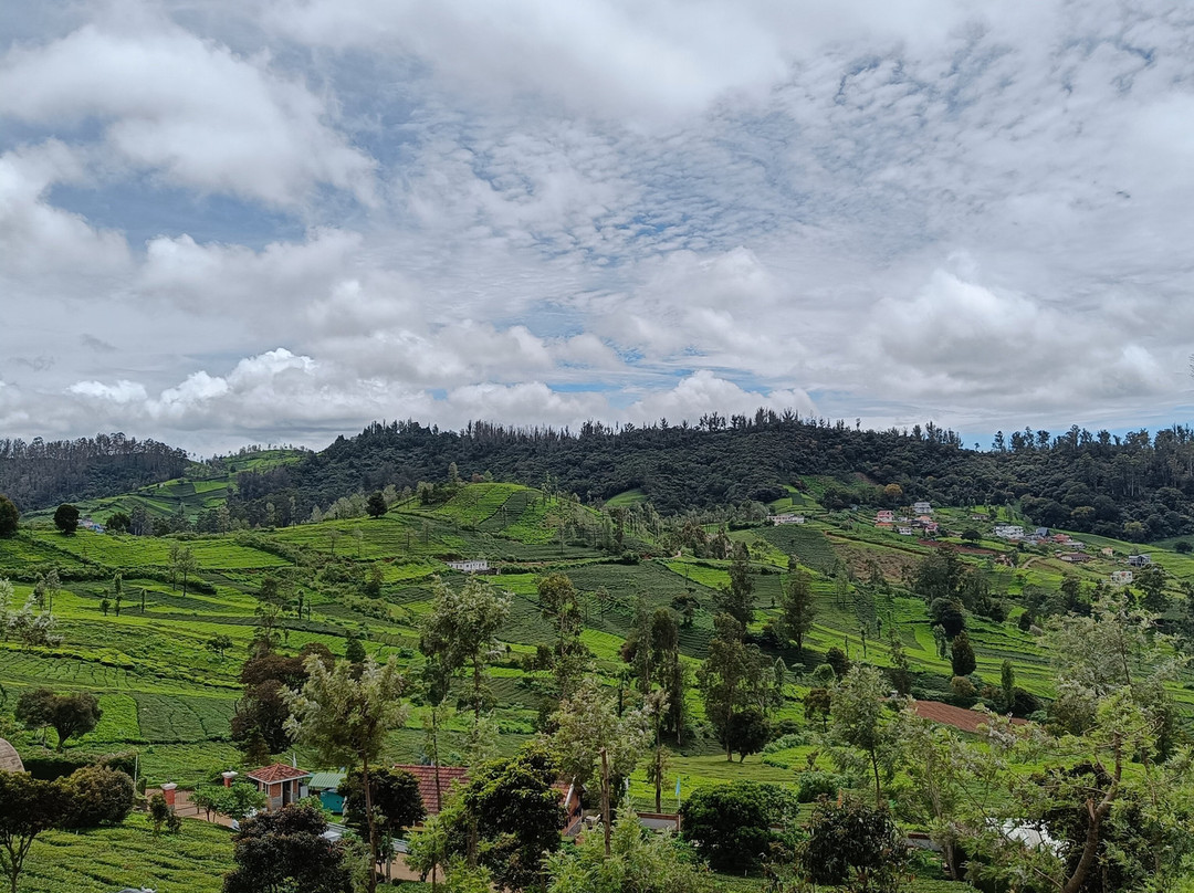 Western Valley Resorts主图