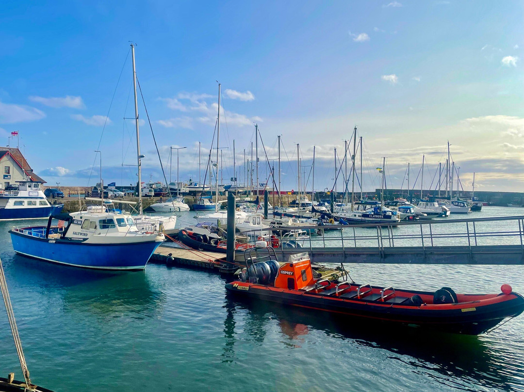 Anstruther Harbour景点图片