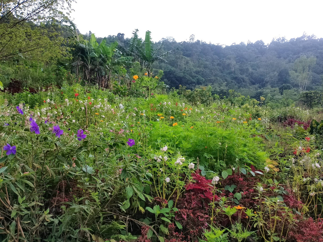 Malatan-og Falls-Don Salvador Benedicto必去景点