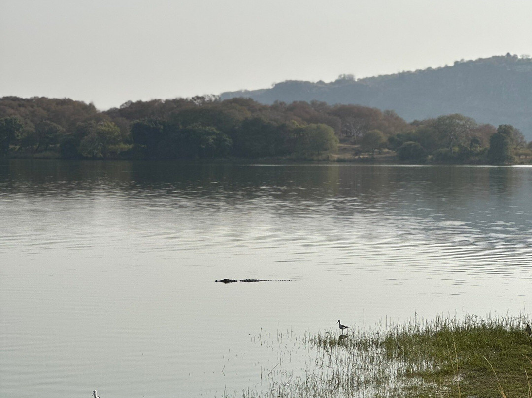 Royal Jaipur Tours-斋蒲尔必去景点
