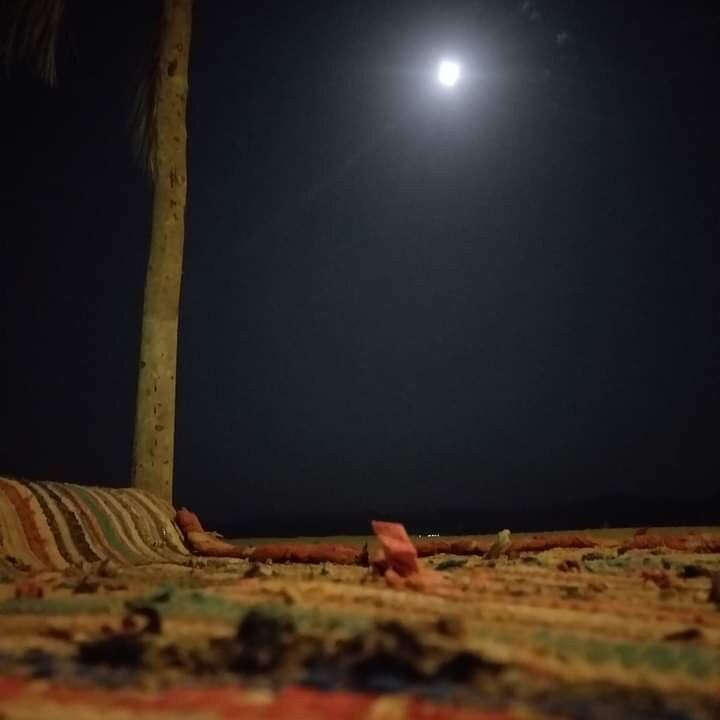 New Saraya Camp