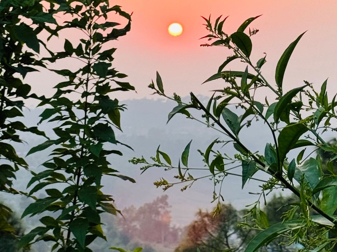 The Art Of Living Himalayan Yoga & Meditation Centre景点图片