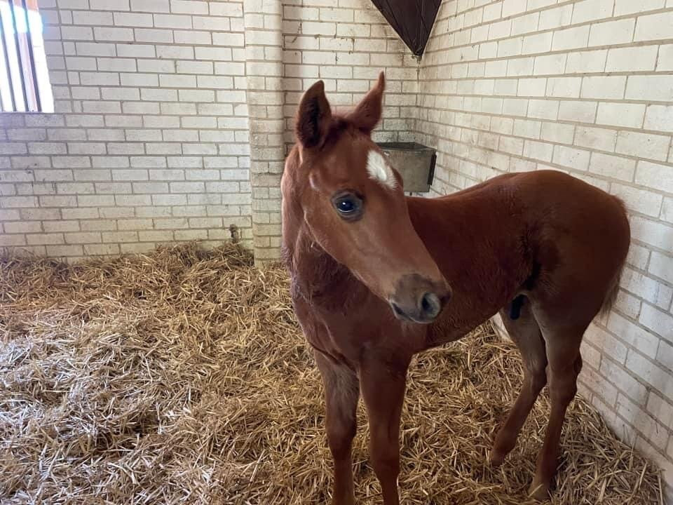 Gooree Park-马奇必去景点