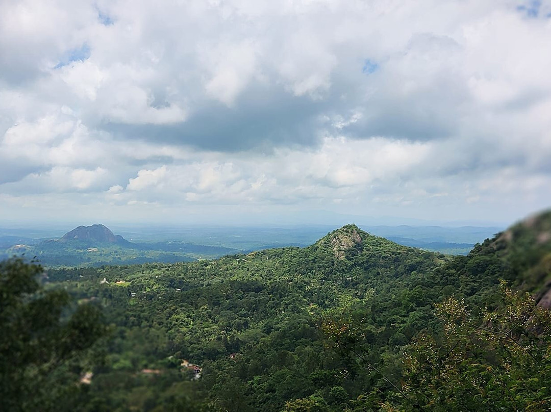 Kerala Private Tours - Travelberry Kerala景点图片