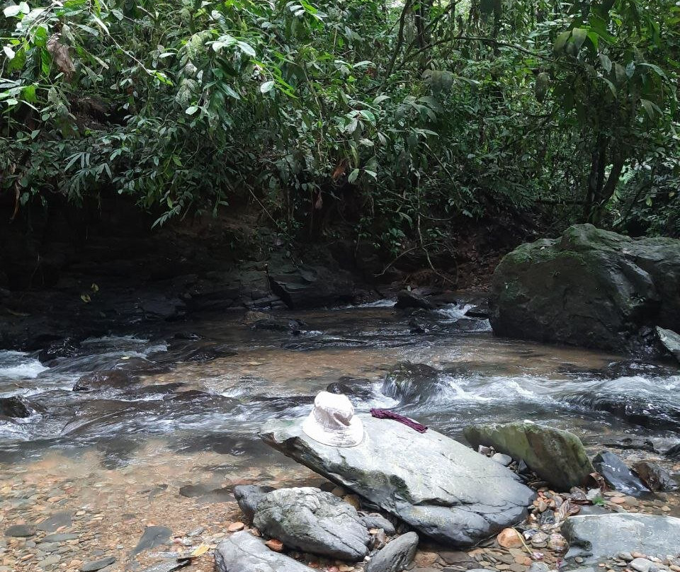 Orangutan Treking Camp-武吉拉旺必去景点