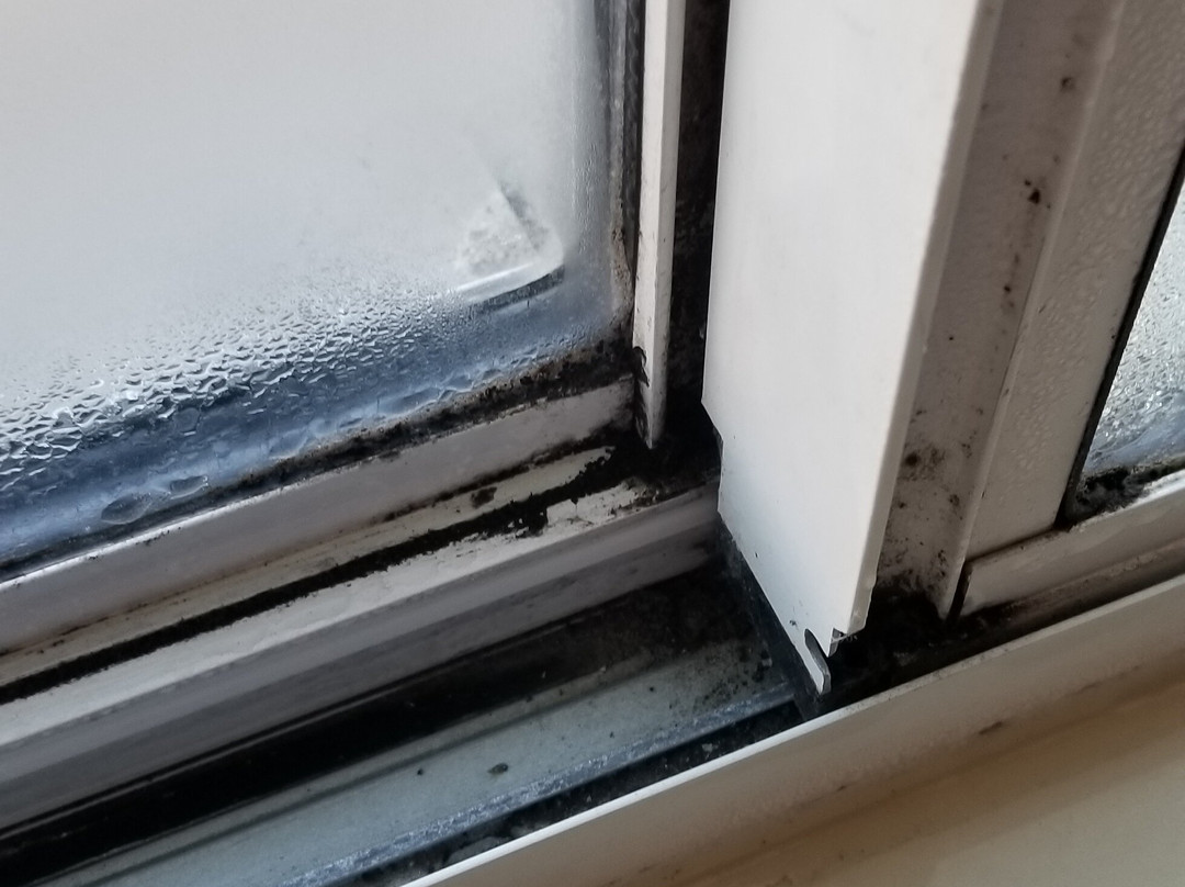 Days Inn by Wyndham Evansdale Waterloo主图