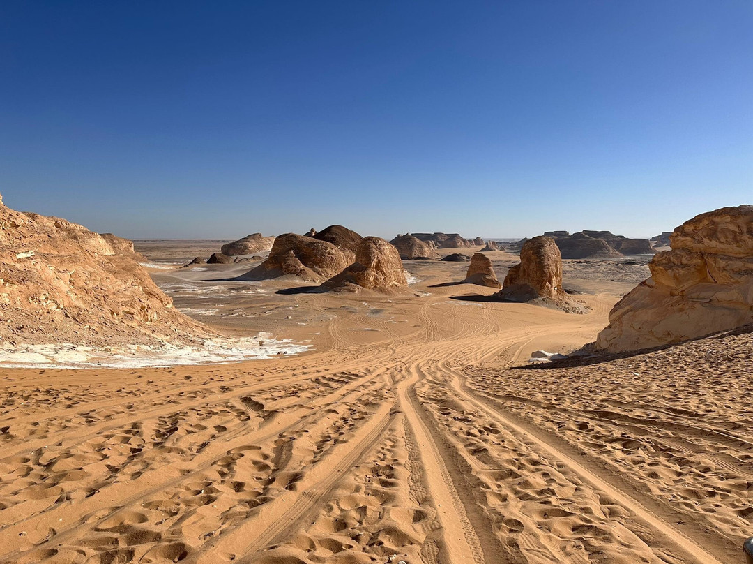 Western Desert Travel-Bahariya Oasis必去景点