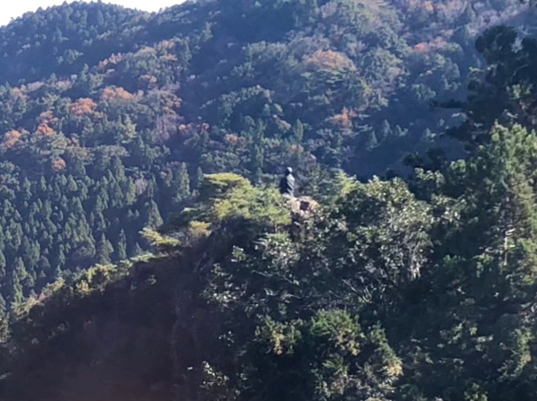 Tairyu-ji Temple Shashindake-阿南市必去景点