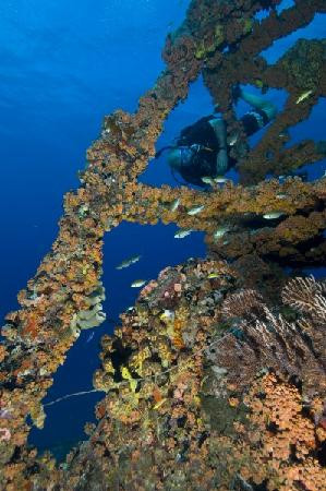 WIT Shoal-圣 托马斯必去景点