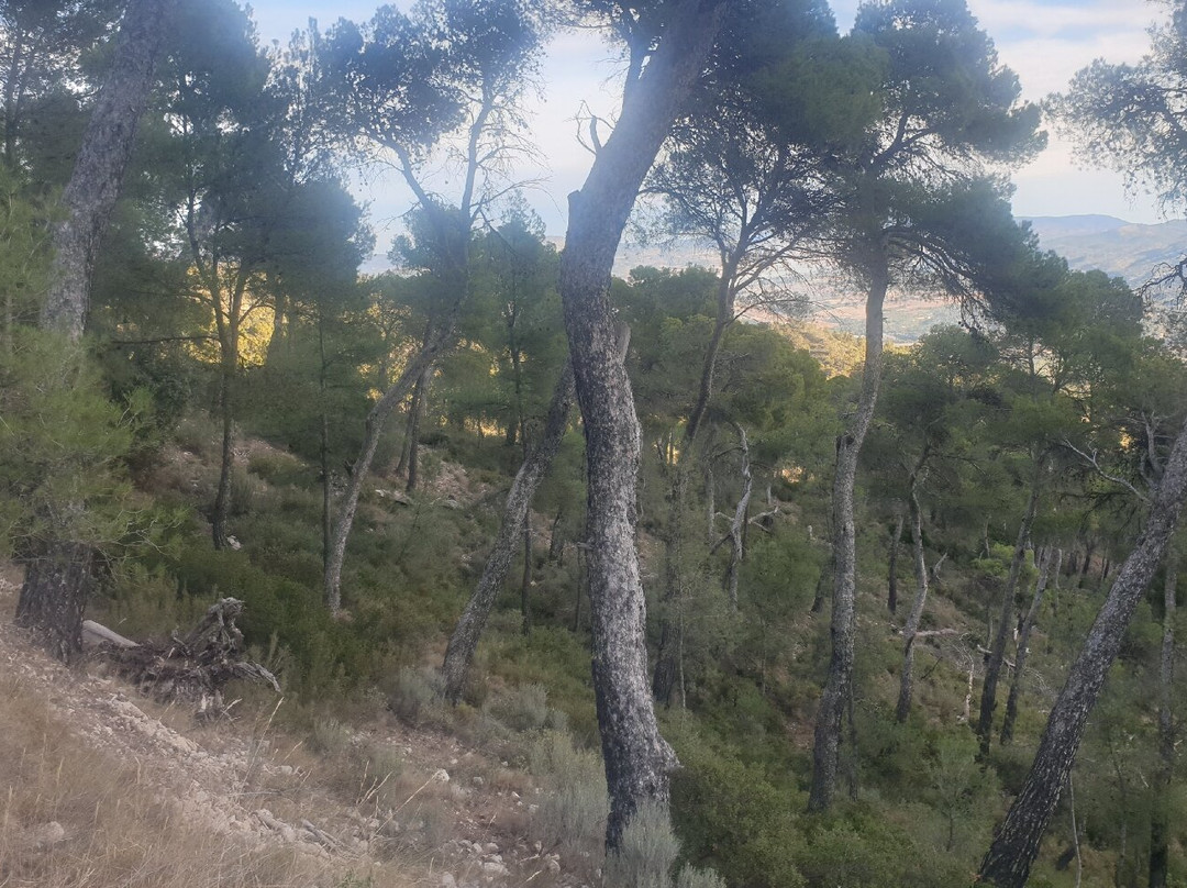 Sierra del Maigmó景点图片
