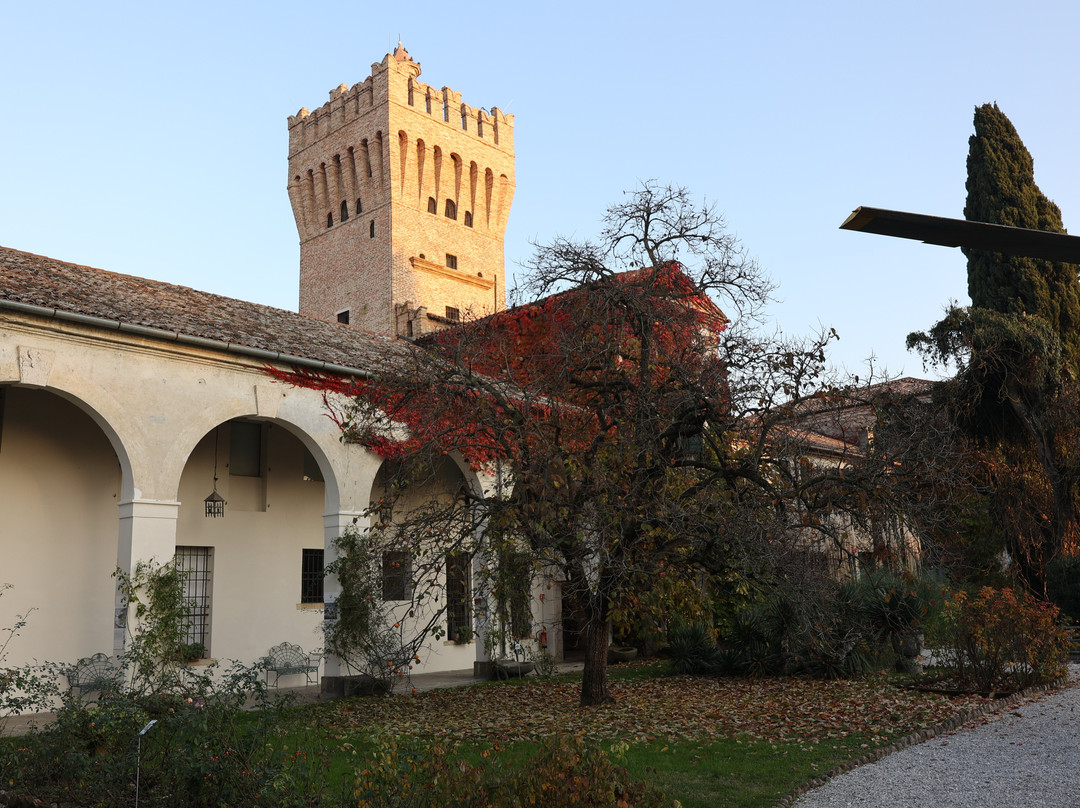 Museo dell'Aria - Castello di San Pelagio景点图片