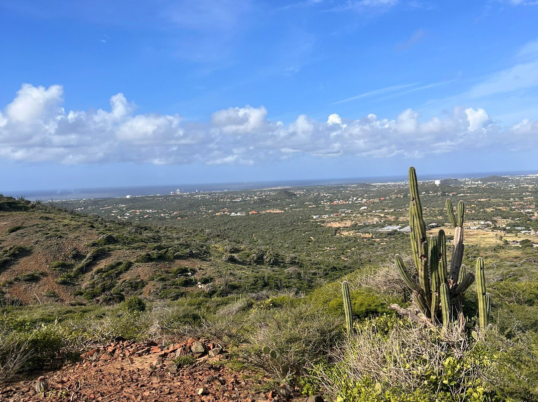 EZ Raider Aruba Tours-Paradera必去景点