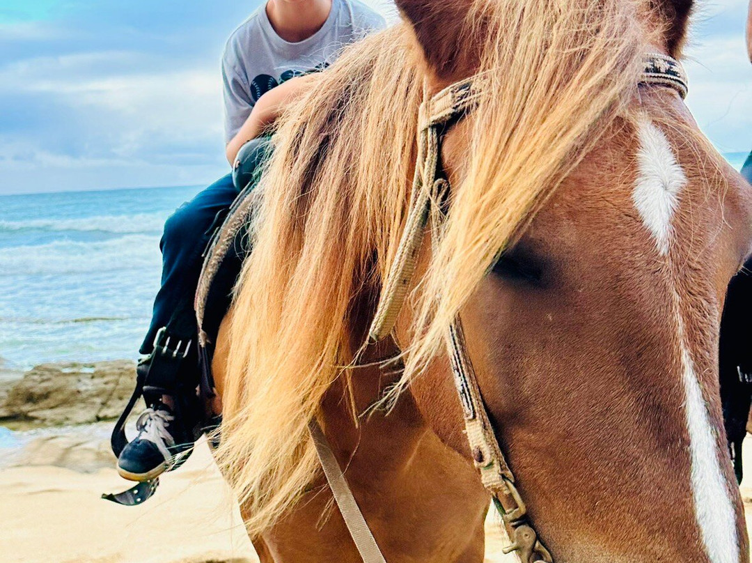 Tropical Trail Rides - Isabela-Isabela必去景点