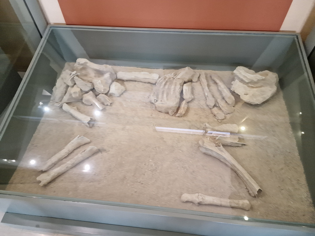 Archaeological Museum of Nemea-Nemea必去景点