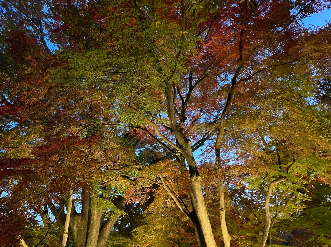 Suzumenomiya Park-寄居町必去景点