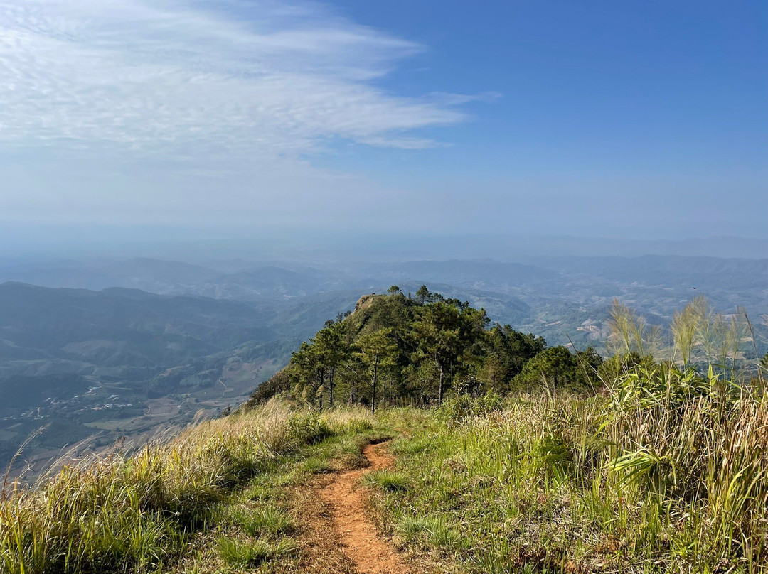 Phu Langka Forest Park景点图片