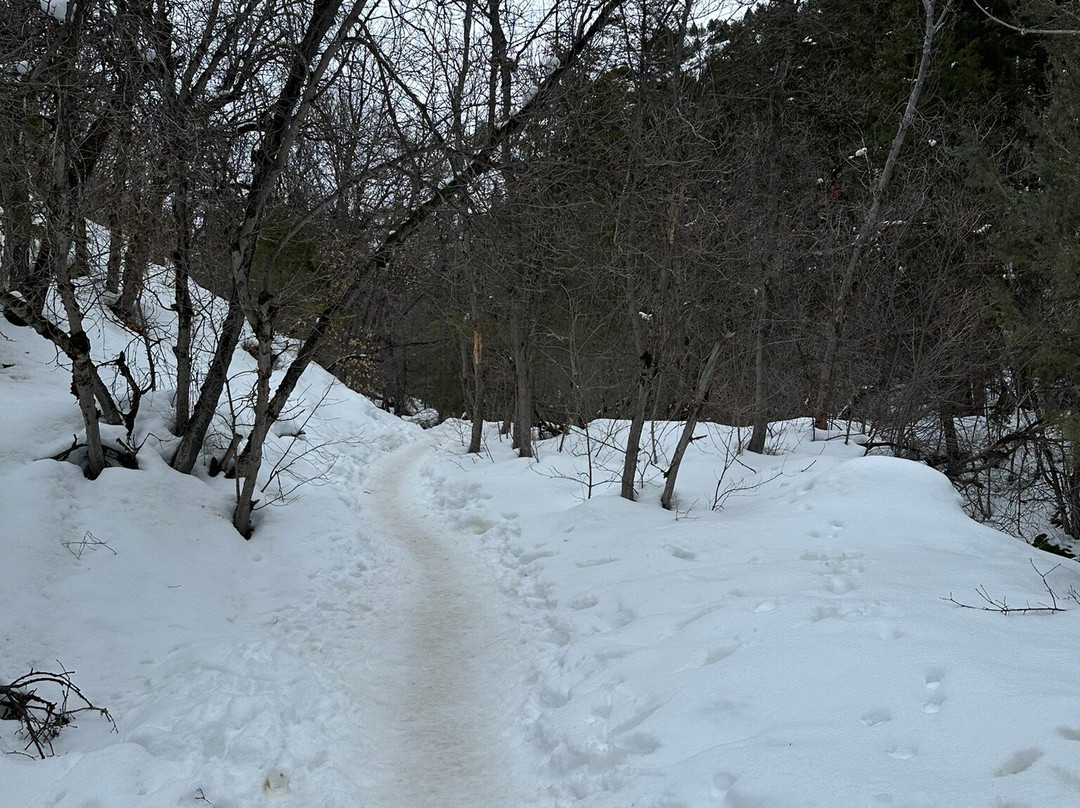 Fifth Water Hot Springs-Springville必去景点