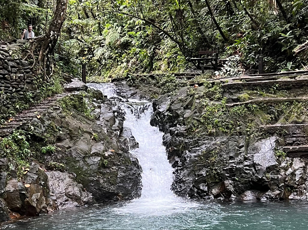 Colo-I-Suva Forest Park-苏瓦必去景点