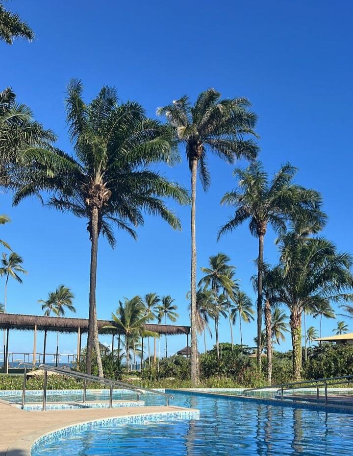 Ilheus North Hotel-泳池