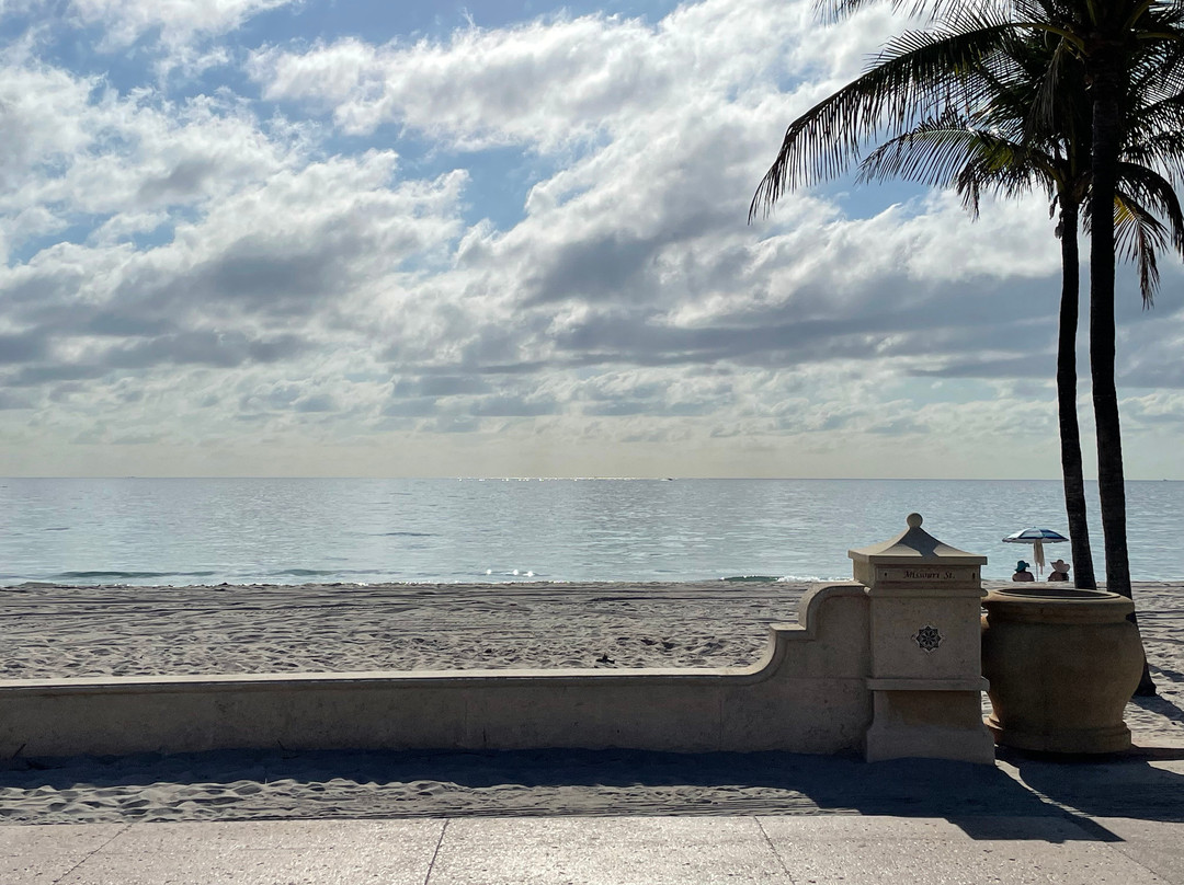 Sea Downs and the Bougainvillea主图