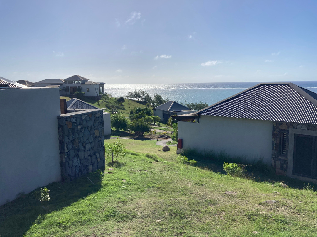 Constance Tekoma主图