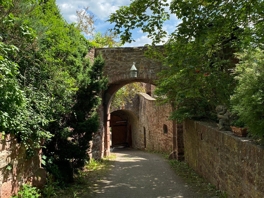 Burg und Burgpark Gamburg景点图片