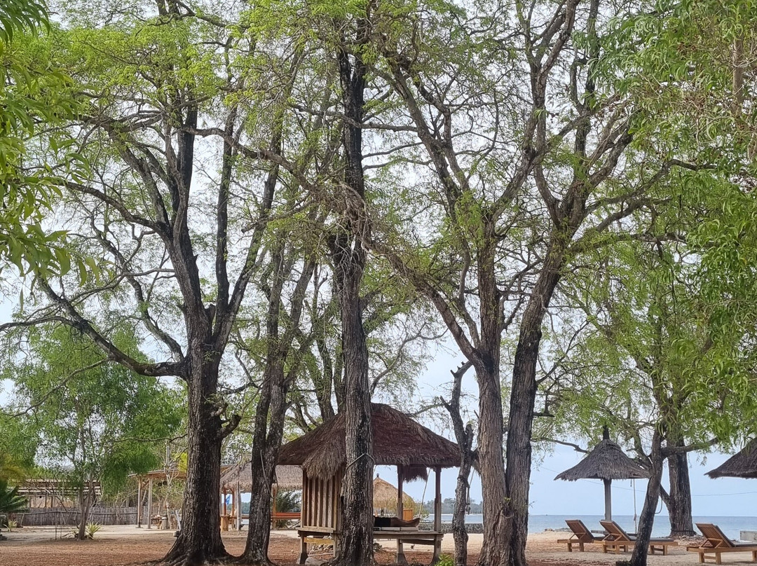 Thamarind Resort主图