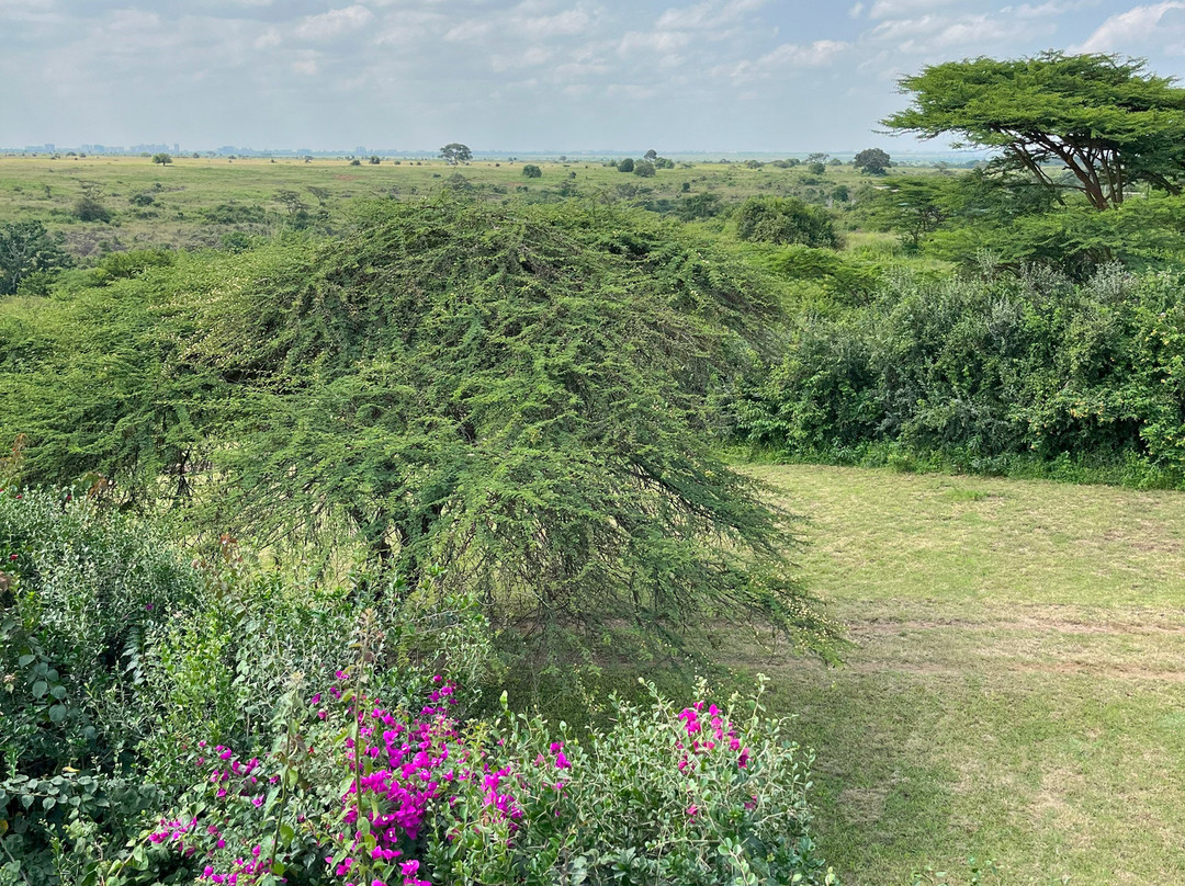 Nyati Hill Cottages主图