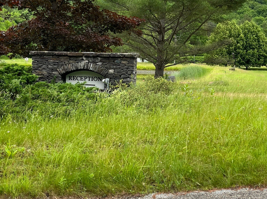 Hawk Inn and Mountain Resort主图