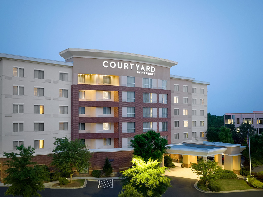 杜鲁斯酒店住宿-Courtyard by Marriott Atlanta NE/Duluth Sugarloaf