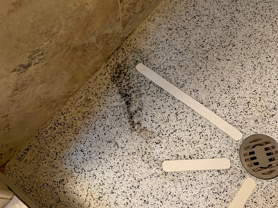 Knotty Pine Motel主图