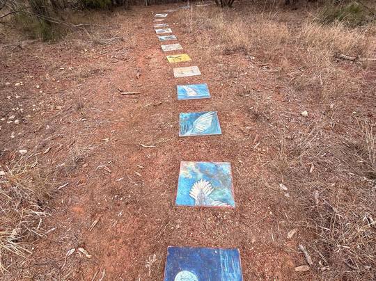 Myall Park Botanic Garden-Glenmorgan必去景点