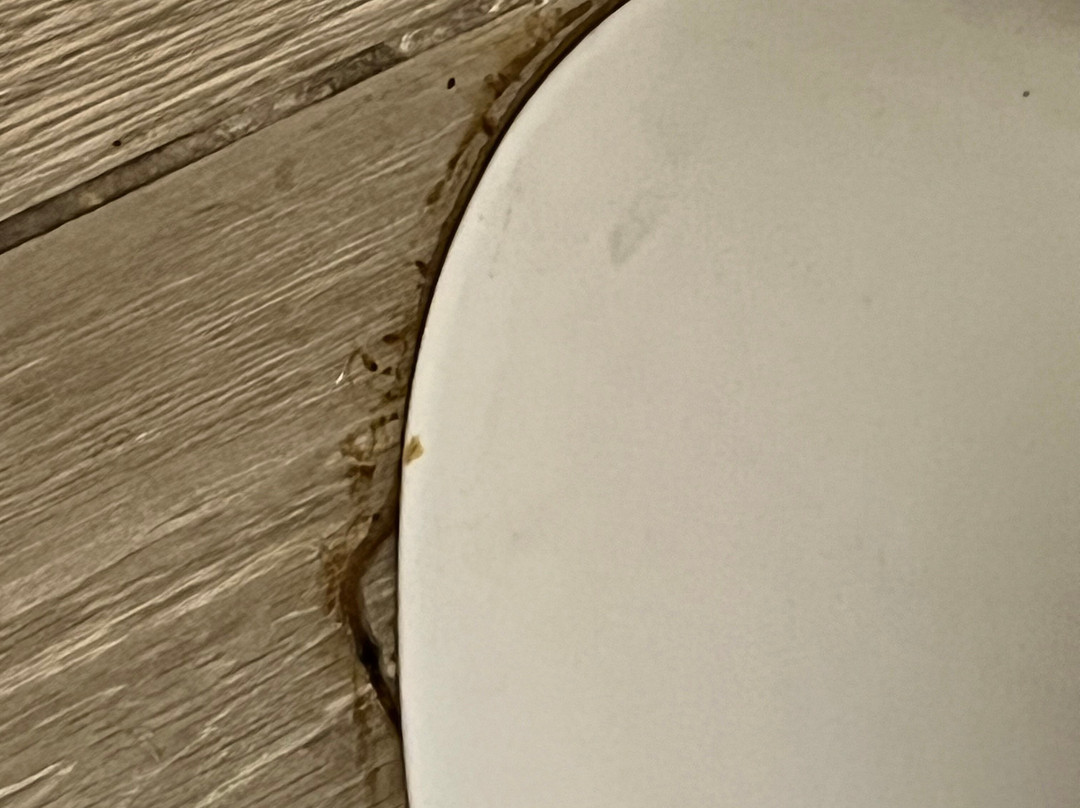 米德尔敦希尔顿恒庭酒店主图