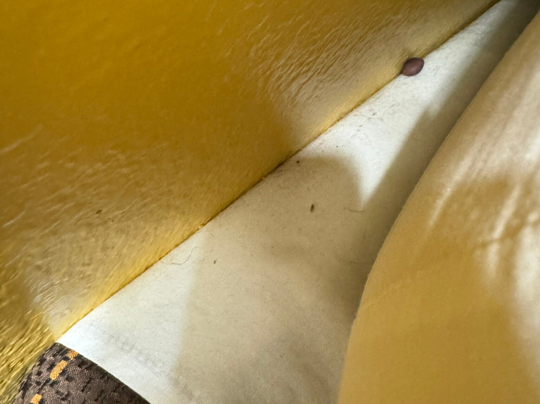 孟菲斯橄榄枝费尔菲尔德套房酒店主图