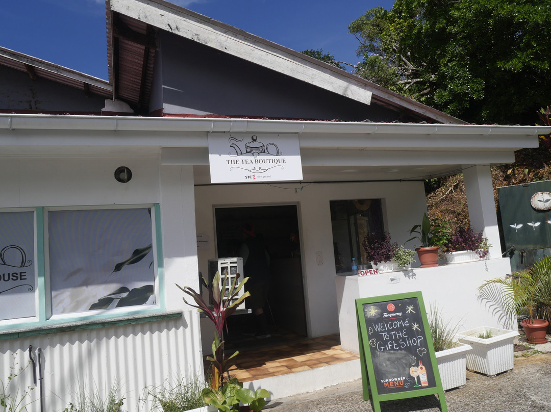 Tea Factory-马埃岛必去景点