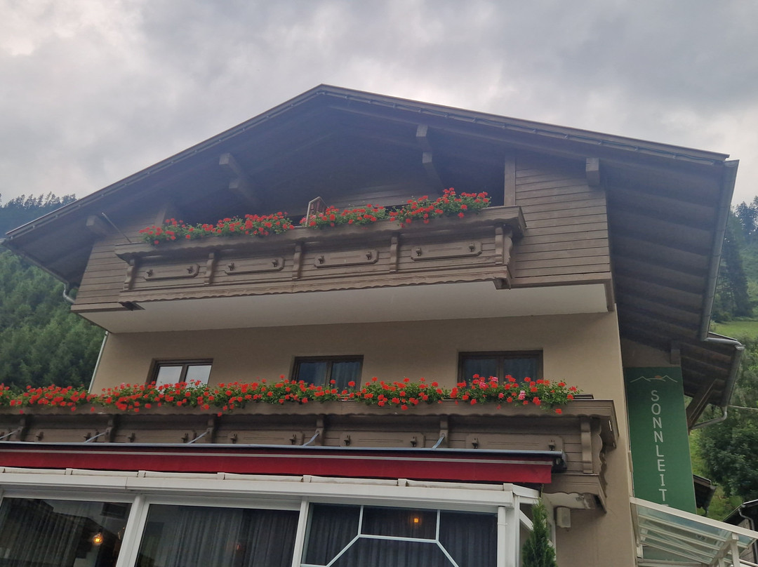 Gourmet Alpin Hotel Sonnleiten主图
