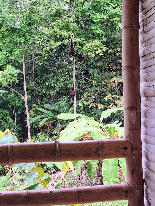 Casa Bambu Beach Resort主图