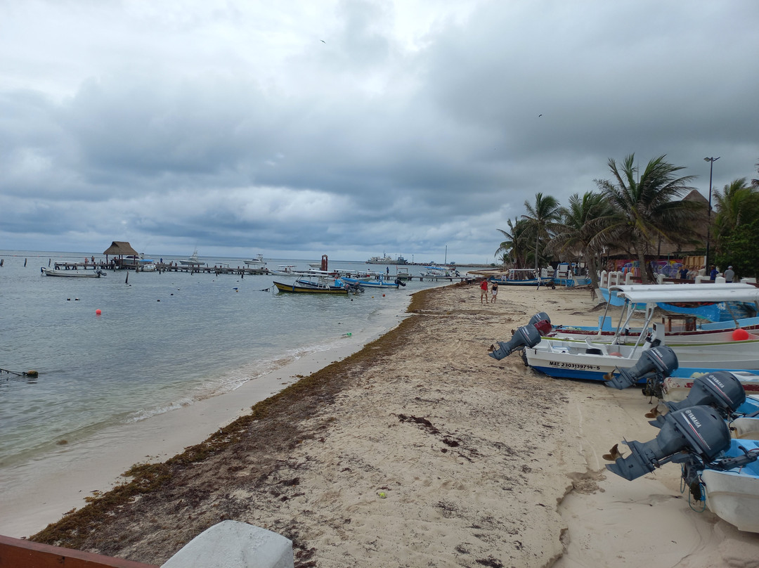 National Reef Park of Puerto Morelos-从莫雷洛斯港必去景点