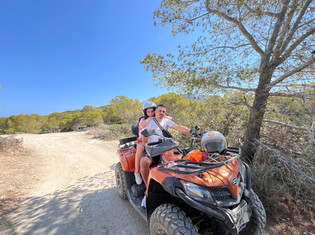 Vibe  Mallorca Excursions