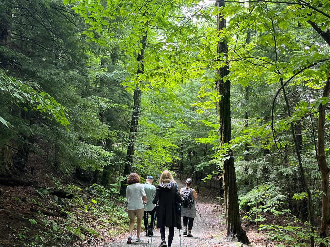 Berkshire Camino Guided Hikes-皮茨菲尔德必去景点