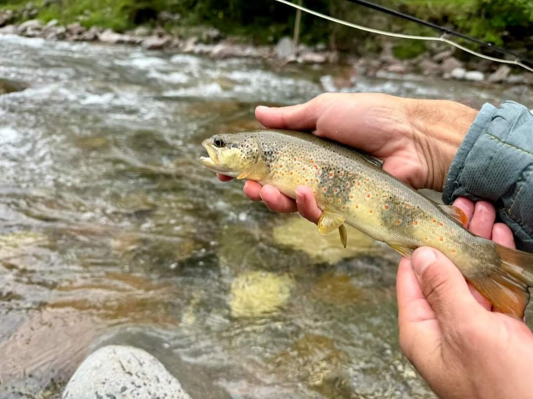 Pyrenees Fly Fishing景点图片