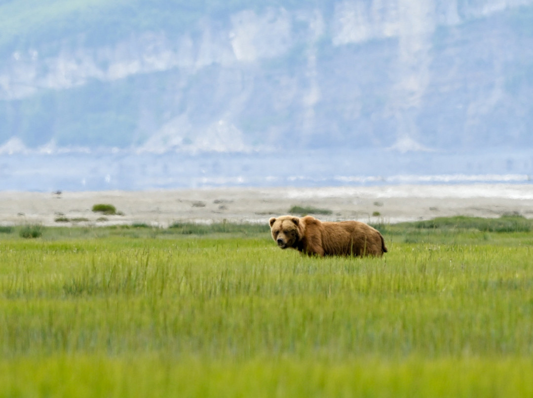 Kenai Backcountry Adventures-苏厄德必去景点