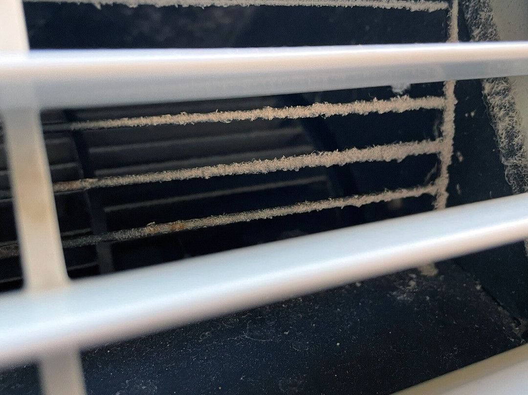 西方最佳鲍威尔湖畔酒店主图