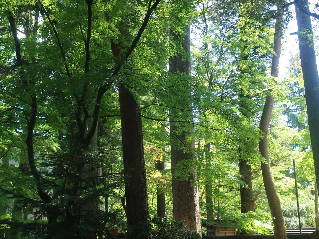 Kawaradake景点图片